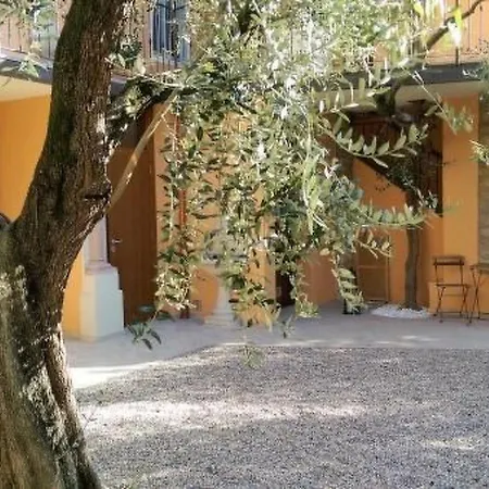 Appartamento 'ca' Due Olivi' Mit Eigener Terrasse By Interhome *